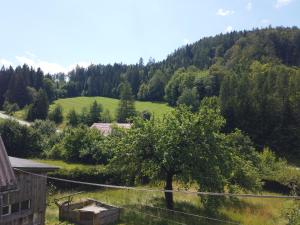 Naturlandskap nära semesterhuset