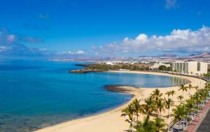 uma vista aérea de uma praia com palmeiras e do oceano em Plus Fariones Habitat em Arrecife