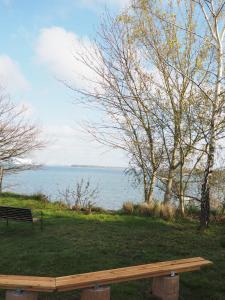 una panchina seduta sull'erba vicino all'acqua di Apartments Sonne am Sund a Stralsund