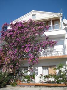 מרפסת או טרסה ב-Apartman Graciela Perfect location Gradac