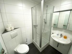 e bagno con doccia, servizi igienici e lavandino. di Apartment Schanzenstraße 690 m ü. M a Winterberg