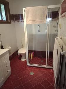 La salle de bains est pourvue d'une douche et de toilettes. dans l'établissement Kincumber House, à Kincumber