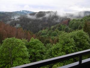 Naturlandskap nära lägenheten