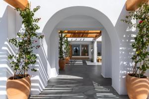 a hallway with potted plants in a building at Rochari Hotel in Mýkonos City