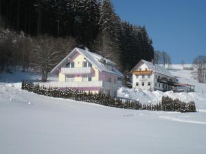 Gasthaus Pension Donishäusle að vetri til