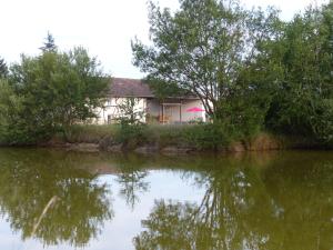 una casa accanto a un corpo di acqua con alberi di Gites Domaine de la Rochere a Domsure