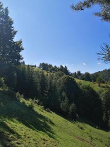 Pokrajina v okolici B&B-ja