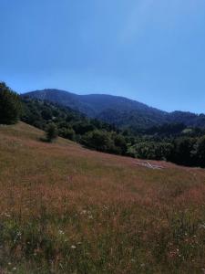 Pokrajina v okolici B&B-ja