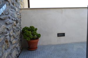 Fotografija u galeriji objekta CASA SOLORGA - apartamentos rurales u gradu San Miguel de Meruelo