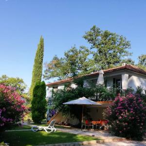 A garden outside Résidence Miro