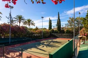 una pista de tenis con árboles y palmeras en Fazenda Viegas, en Lagos