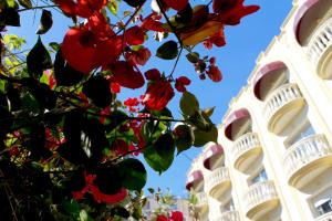 a tree with red flowers in front of a building at URH Sitges Playa in Sitges