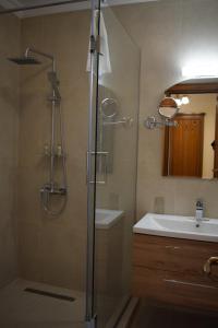 a bathroom with a shower and a sink at Vila Preciosa in Alba Iulia