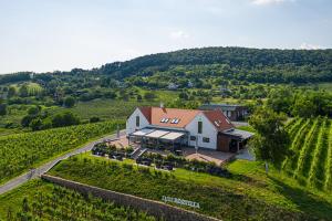 eine Luftansicht eines Hauses auf einem Weinberg in der Unterkunft Vitis Kúria 7171 Balatonrendes in Balatonrendes