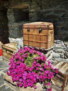 een pot roze bloemen naast een borst bij Maison Le Cler in Valtournenche