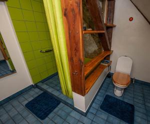 a small bathroom with a shower and a toilet at Baltā māja in Pilsrundāle