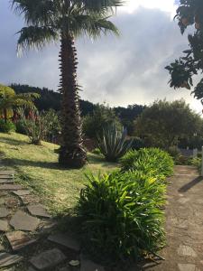 A garden outside Bungalows Do Amparo