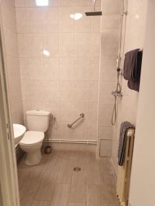 La petite salle de bains est pourvue d'une douche et de toilettes. dans l'établissement Hôtel Belfort, à Montreuil