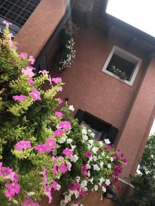 ein Gebäude mit rosa und weißen Blumen davor in der Unterkunft Casa del Balcone Fiorito in Cormòns