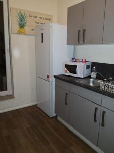 a kitchen with a microwave and a refrigerator at Hostel im Medizinerviertel in Halle an der Saale