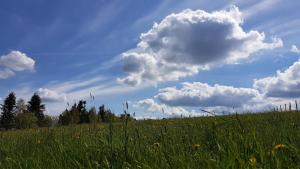 Un paisaje natural cerca de la casa de huéspedes