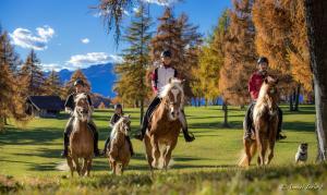 un grupo de personas montando caballos en un campo en Hotel & Gasthof zum Hirschen, en San Genesio Atesino