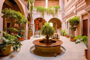 สวนหย่อมนอก Selina San Miguel de Allende