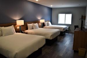 Katil atau katil-katil dalam bilik di Days Inn & Suites by Wyndham Downtown/University of Houston