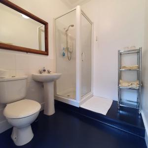 een badkamer met een toilet, een douche en een wastafel bij Moraybank Bed & Breakfast in Elgin