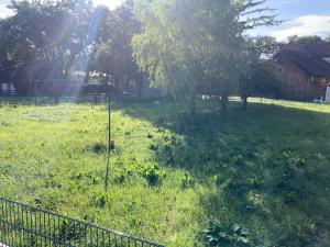 A garden outside Ferienwohnung Bungenhof Alpacas