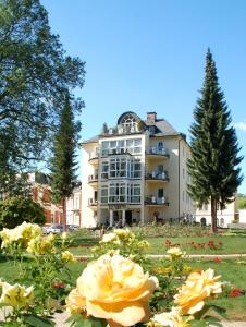 Un jardín fuera de 28 qm Apartments am Rosengarten