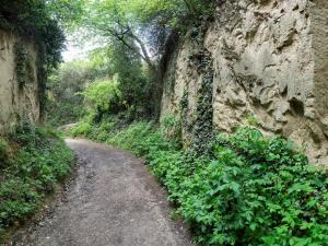 una strada sterrata vicino a un muro di roccia. di Winzerhof Henkenberg a Niederrotweil