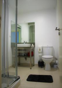 La salle de bains est pourvue de toilettes et d'un lavabo. dans l'établissement Casa do Castelo Ourém, à Ourém