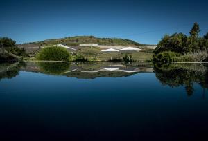 uitzicht op een meer met bomen en huizen bij Quinta do Vallado - Douro Wine Hotel in Peso da Régua