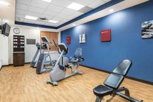 Comfort Inn & Suites Allen Park - Dearborn tesisinde fitness merkezi ve/veya fitness olanakları