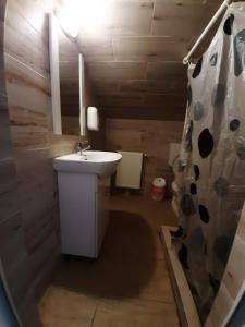 bagno con lavandino e tenda doccia di COMPLEX TURISTIC CASIANNA & Spa a Păltiniş