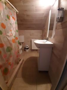 bagno con lavandino e tenda doccia di COMPLEX TURISTIC CASIANNA & Spa a Păltiniş