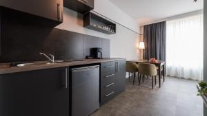 Kuhinja ili čajna kuhinja u objektu Metropol Apartments & Suites