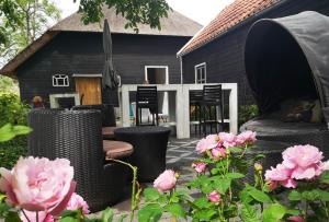 Kebun di luar The Black Sheep Hostel