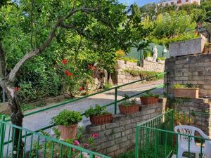 Kebun di luar Hotel Il Nido Sorrento