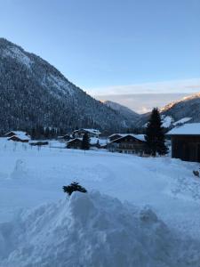 a field covered in snow with houses and mountains at Zeffererhof in Schladming