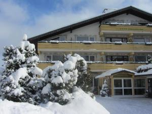 Ferienhotel Schwarzwälder Hof冬天相片