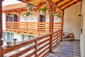 an outdoor deck with potted plants and a pergola at Pensiunea Mariana in Ocna Şugatag