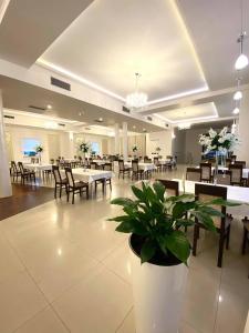 Restoran atau tempat lain untuk makan di Hotel Magnolia