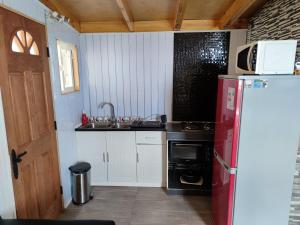 una pequeña cocina con nevera y fregadero en Departamento Cabaña amoblada Puerto Montt, en Puerto Montt