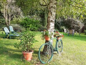 una bicicletta parcheggiata accanto a un albero con dei fiori sopra di Bodza Vendégház - Apartmanház a Demjén