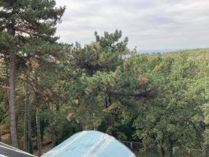 uma tenda azul em frente a algumas árvores em Berg Toboz Panzió em Pécs