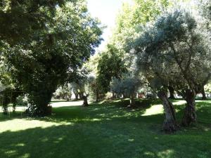 A garden outside Hotel Los Olivos