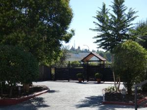 A garden outside Hotel Los Olivos