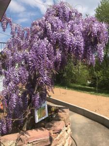 Un jardín fuera de le chemin du meunier